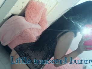 Little_innocent_bunny