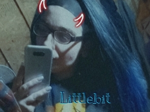 Littlebit