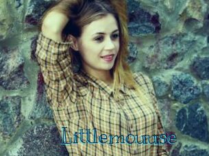 Littlemouuse