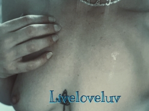 liveloveluv Archive DVD BIZ