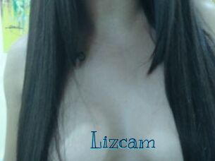 Lizcam