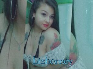 Lizhorney