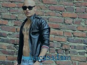 lucasadam Archive DVD BIZ