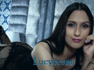 lucybosse Archive DVD BIZ