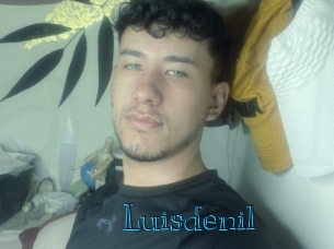 luisdenil Archive DVD BIZ