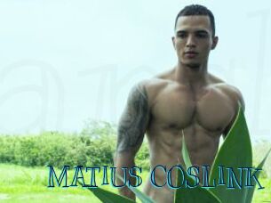 MATIUS_COSLINK