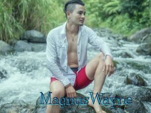 MagnusWayne