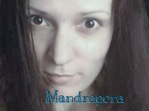 Mandragora
