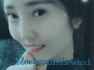 Meetyouinthewind