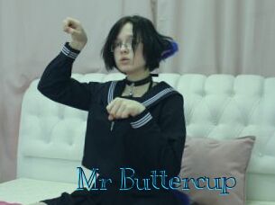 Mr_Buttercup