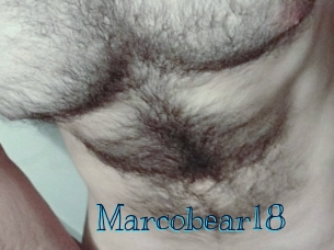 Marcobear18