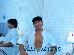Marcusgrys