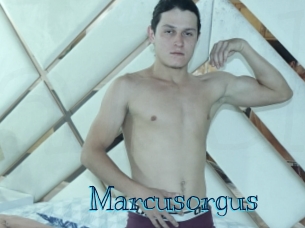 Marcusorgus