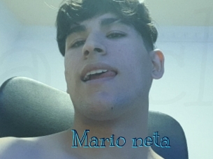 Mario_neta