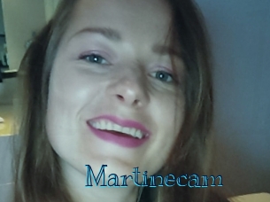 Martinecam