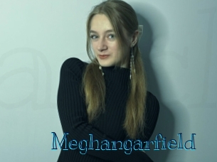 Meghangarfield