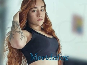 Meridafox