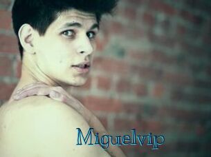 miguelvip Archive DVD BIZ
