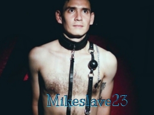 Mikeslave23