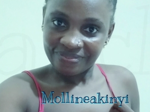 Mollineakinyi