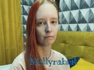 Mollyrabbit