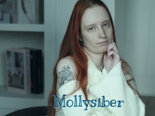 Mollysiber