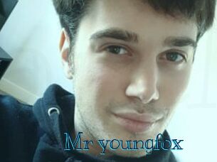 Mr_youngfox