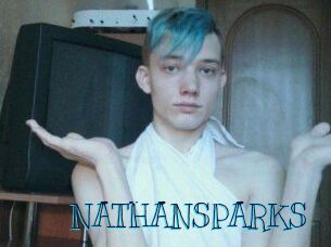 NATHAN_SPARKS