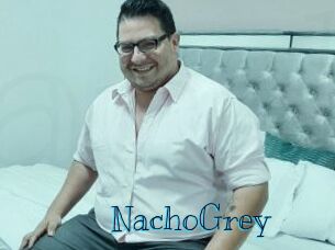 NachoGrey