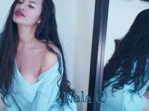 Nala_Q