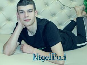 NigelBud