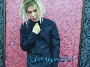 NixxigayHot Archive DVD BIZ