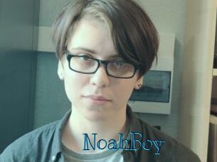 NoahBoy