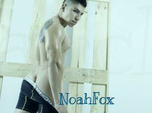 NoahFox