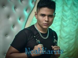 NoahHarris