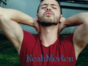 NoahMorton