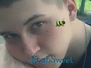 NoahSweet