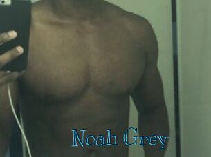 Noah_Grey