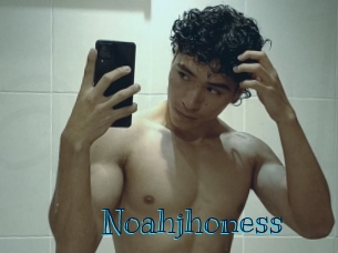 noahjhoness Archive DVD BIZ