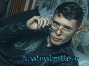 Noahsalvattore