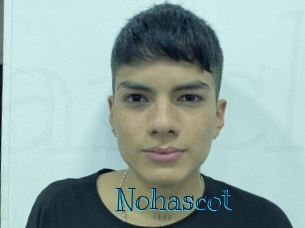 Nohascot