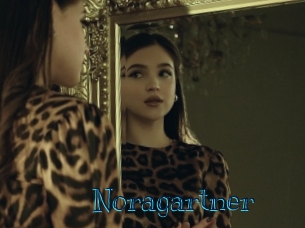 Noragartner