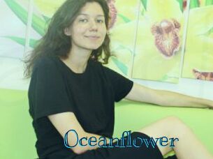 oceanflower Archive DVD BIZ