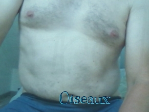 Oiseaux