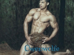 Owenwolfe