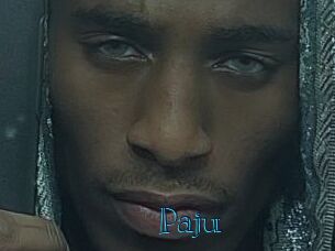 Paju