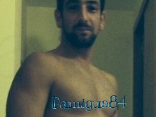 Pamigue84