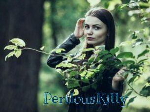 Perilous_Kitty