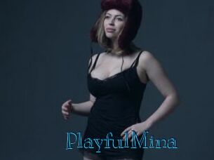 PlayfulMina Archive DVD BIZ