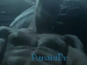 PunaniDr